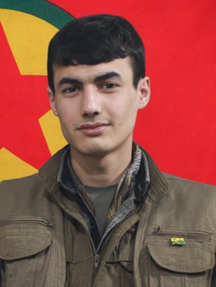 20240603-image-20240603075234-1-jpegccf10f-image