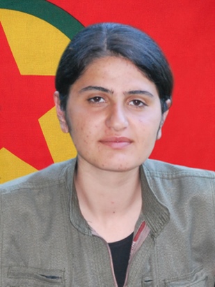 20240611-image-20240611074336-2-jpeg2d939f-image