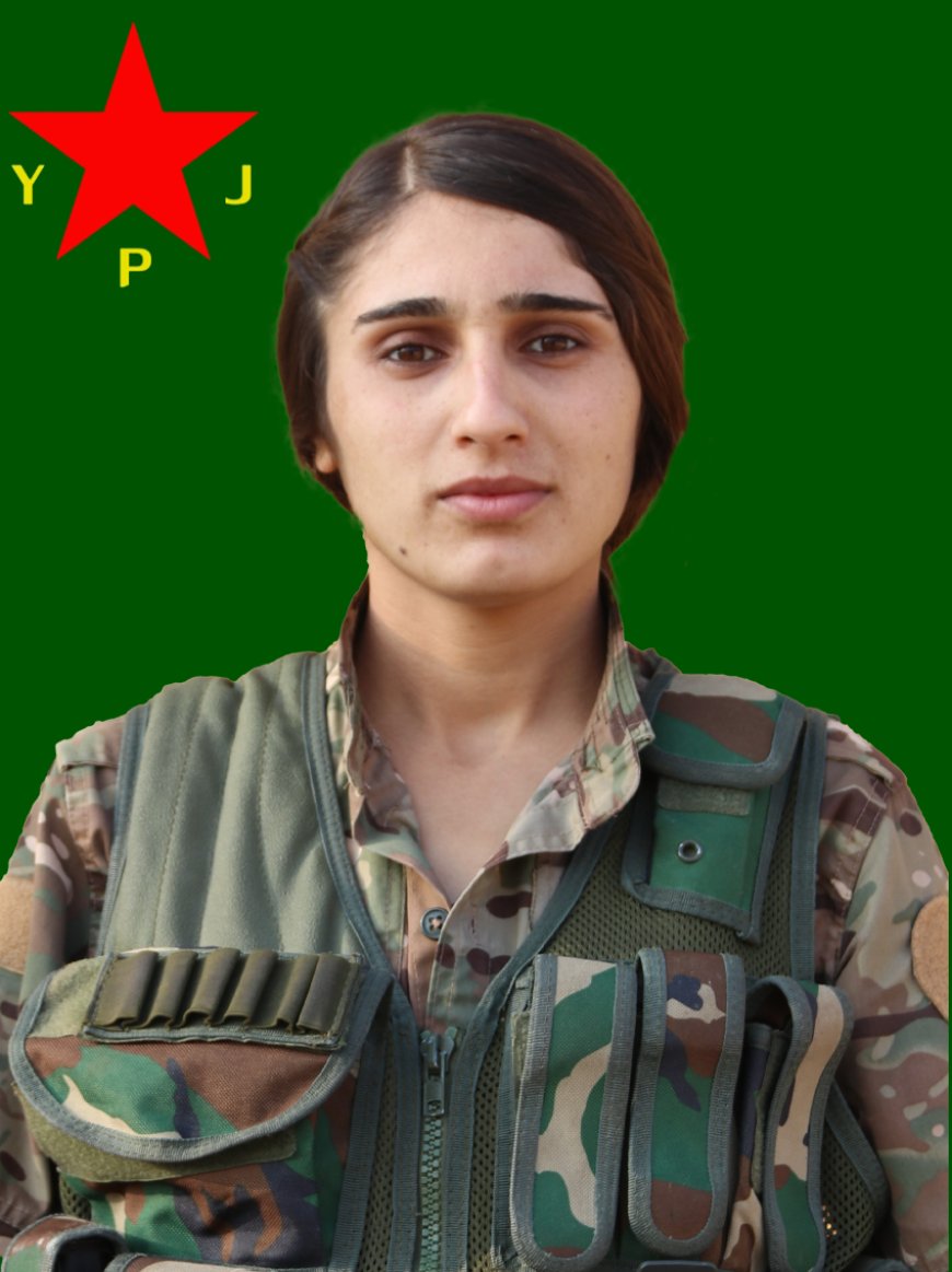 image_870x_6676d57b6824f