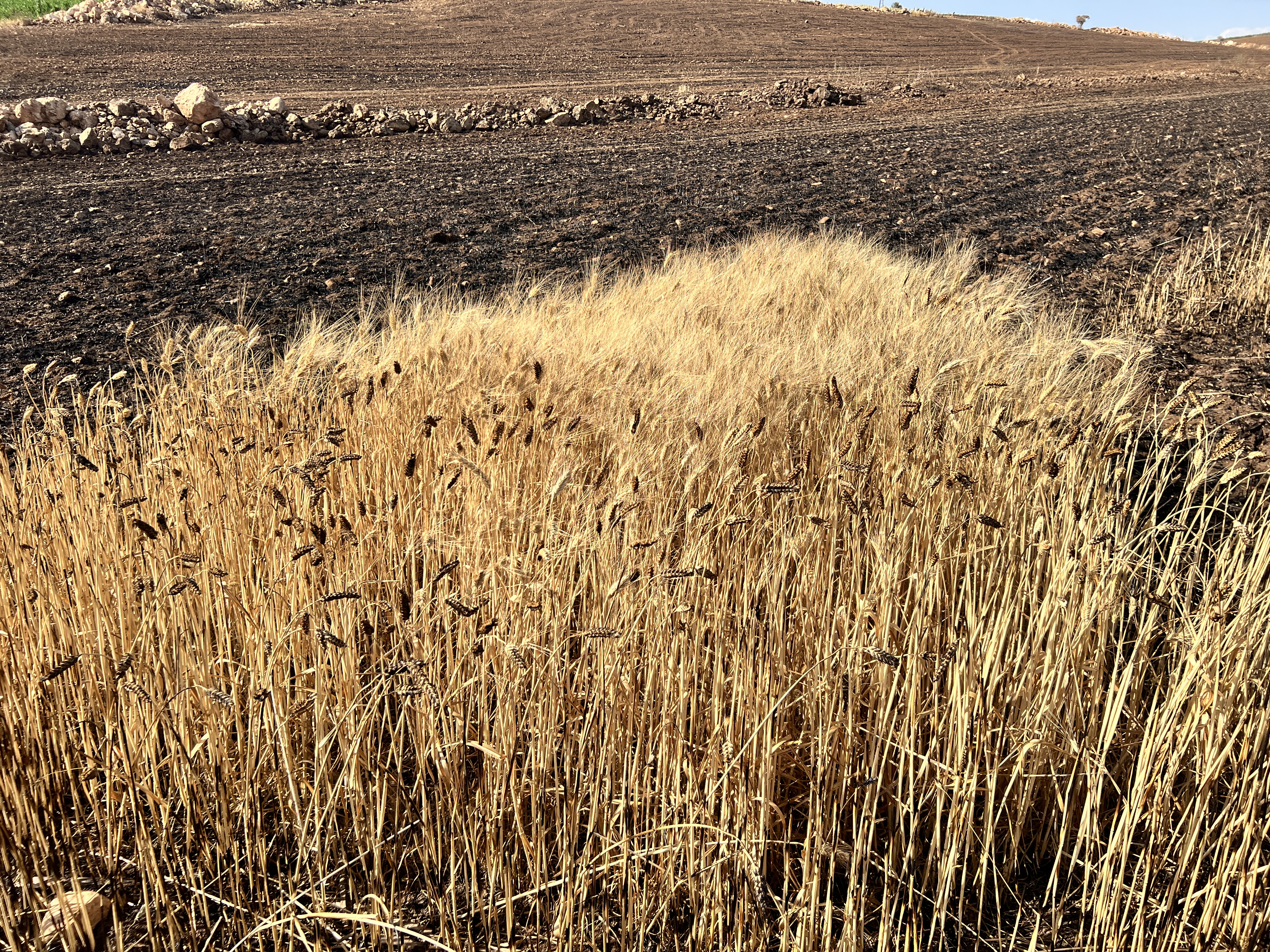 20240705-amd-04-07-24-cinar-yangin-kadinlar-degerlendirme1-kopyasi-jpg21f335-image