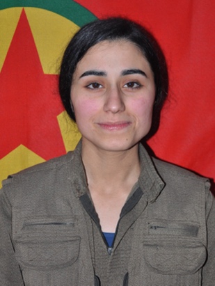 20240828-image-20240828081111-2-jpeg2569b5-image