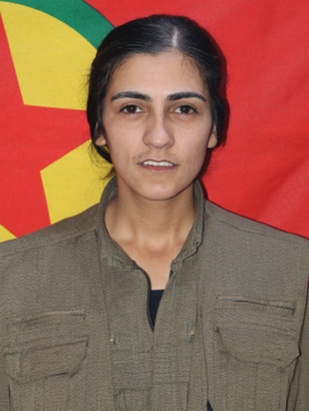 20240828-image-20240828081135-3-jpeg3e6f11-image