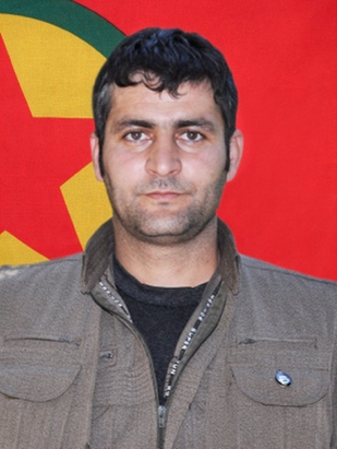 20240902-image-20240902072843-2-jpeg219624-image