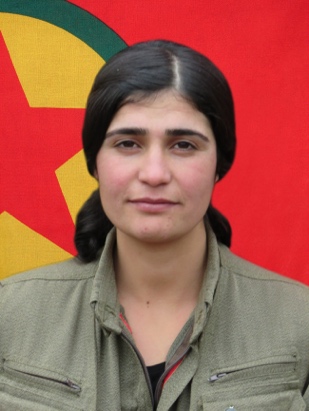 20241007-image-20241007081610-3-jpeg08c0e3-image