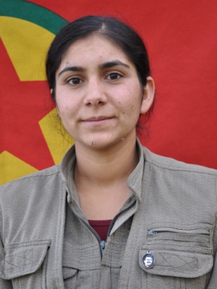 20241105-image-20241105073010-2-jpeg4dc7b9-image