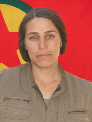 20241105-image-20241105073010-3-jpeg6530c4-image