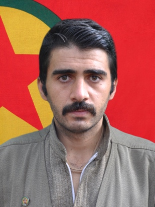 20241114-image-20241114073516-1-jpegac87fd-image