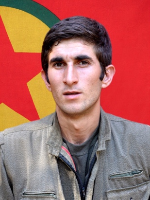 20241114-image-20241114073516-2-jpeg31e3e5-image