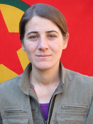 20241117-image-20241117072840-2-jpegf55376-image