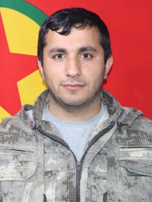 20250111-image-20250111091145-1-jpegb10e51-image