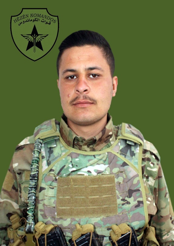 20250120-image-20250120194236-1-jpeg8d5c6b-image