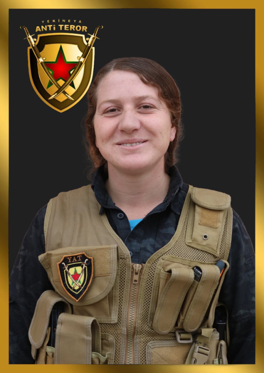 image_870x_677a79b0a65ed