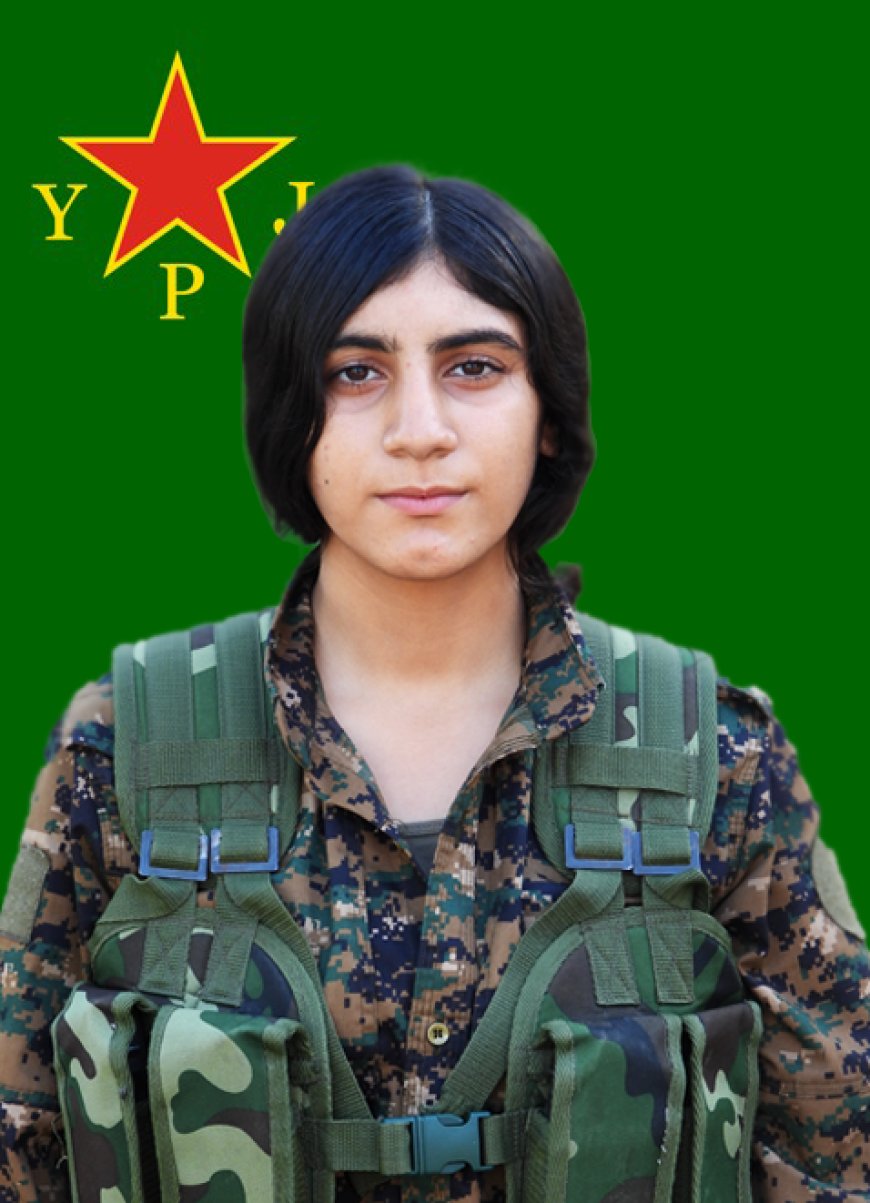 image_870x_677a79b48112e