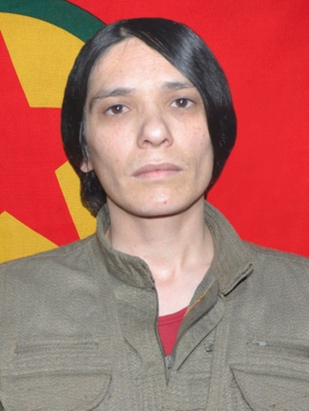 20250204-image-20250204075001-2-jpeg716094-image