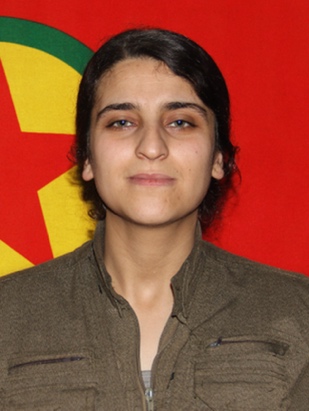 20250204-image-20250204075001-3-jpegbcbf42-image