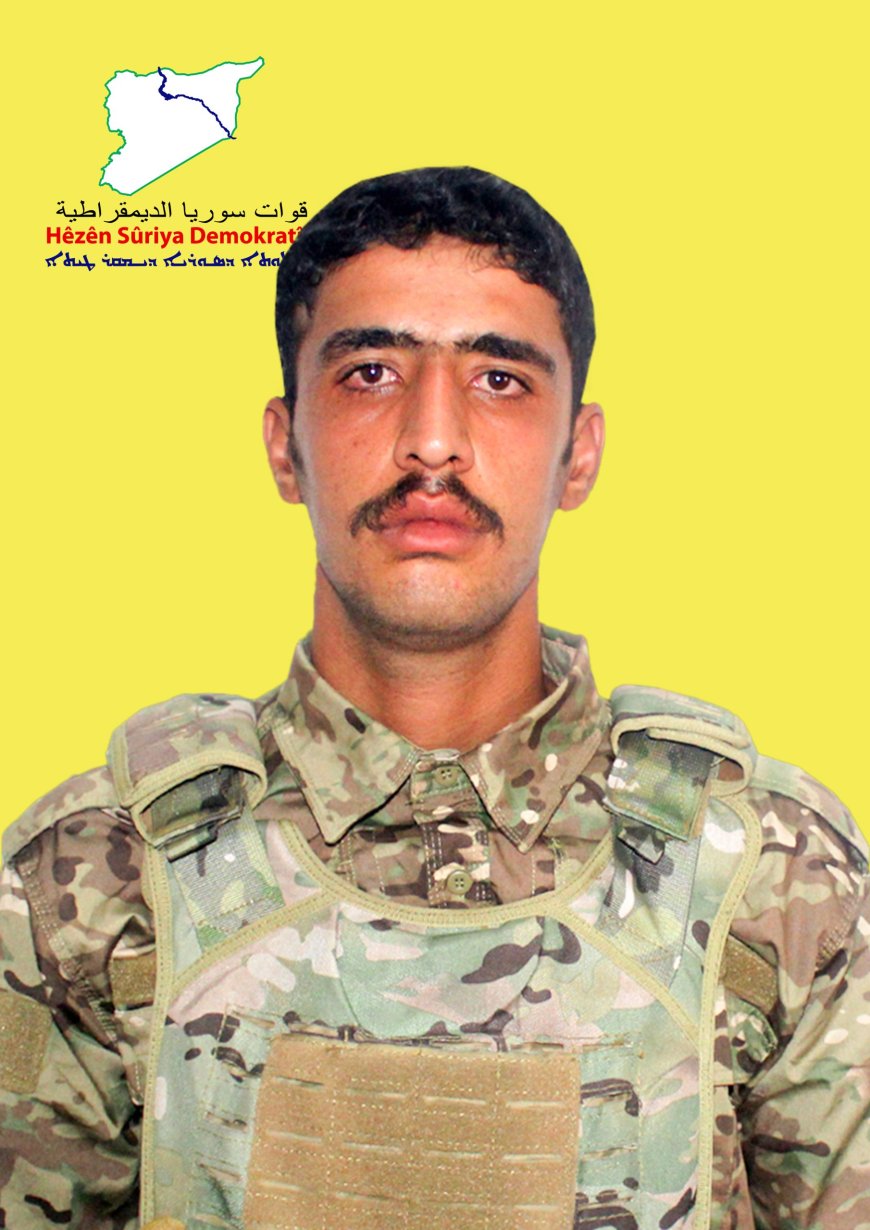 image_870x_67b8cd1e8ebbb