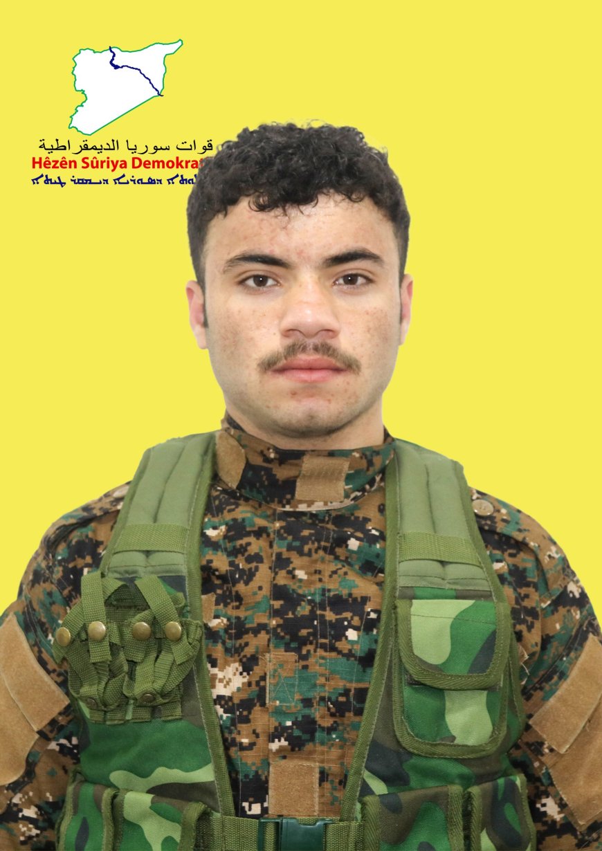 image_870x_67b8cd1fdc5db