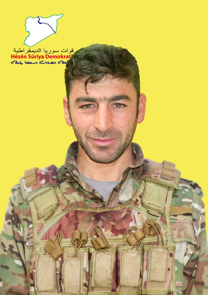 image_870x_67b8cd2137157