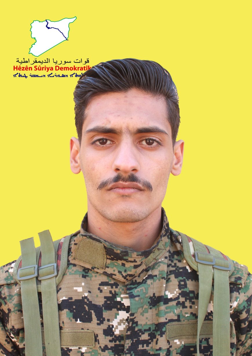 image_870x_67b8cd229e5f0