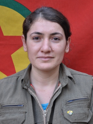 20250502-image-20250502080537-1-jpege3c47e-image