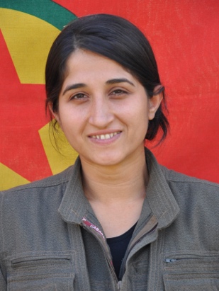 20250509-image-20250509080228-1-jpeg29d201-image