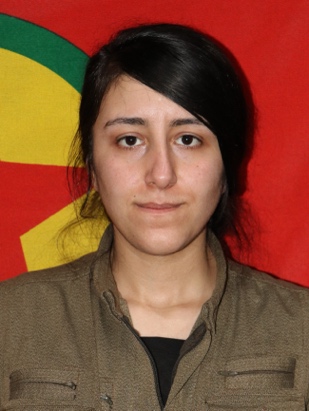 20250509-image-20250509080228-2-jpeg05a1cd-image