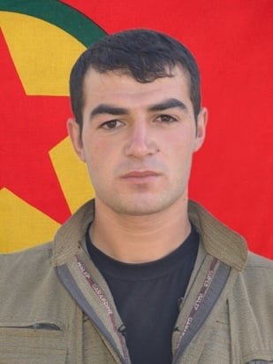 20250728-image-20250728082947-3-jpeg2e1870-image