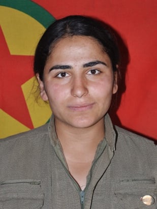 20250728-image-20250728082947-4-jpeg04806a-image