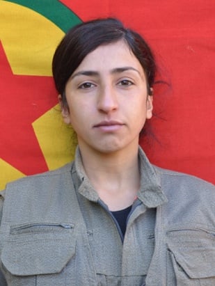 20250808-image-20250808093745-1-jpegf313fd-image