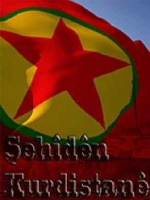 20251013-image-20251013080722-6-jpeg5477c8-image